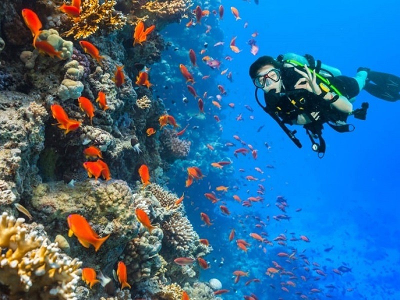 Reef Snorkeling – Agatti Island